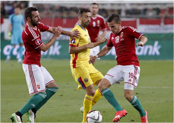 电话轰在线轰炸免费